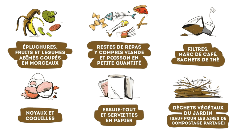 Liste des déchets compostables
